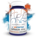 Nootropics Depot BaCognize Bacopa Monnieri 300mg Kapseln (120 Count) Ayurvedic Kräuter Non-GMO, Glutenfrei und vegetarisch Freundlich