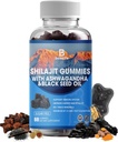 Shilajit Gummies, Shilajit, résine, avec 85+ Trace Minéraux, Acide Fulvic, Phytonutriments, Vitamine C, D, B12, Ashwagandha, Champignon Chaga, Turcuma, pour l'énergie, Soutien immunitaire