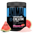 Poudre de créatine suralimentée animale - Monohydrate de créatine aromatisé amélioré avec la bêtaine anhydre, PurpleForce & Senactiv, Force, Endurance, Récupération musculaire pour les hommes et les femmes - pastèque, 300g