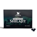 Chuga Pure Himalayan Shilajit Tablets für Männer und Frauen | Organic Shilajit Harvested 16,000 Feet | Lab Tested in USA, 75+ Fulvic Acid, Grade A, Immun Booster, Shilajit Tablets, 60 Servierungen (1)