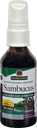 Natur Antwort Sambucus Syrup Extrakt Spray 2 flüssige Unzen | Immun Booster auf dem Go | Travel Friendly | Rich in Antioxidantien | Natürliche Immununterstützung