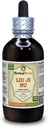 Liu Ji Nu, Artemesia (Artemisia Anomala) Tincture, Dried Herb Liquid Extract (Markenname: HerbalTerra, Proudly Made in USA) 4 fl.oz (120 ml)