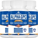 15-in-1 Alpha GPC Supplement mit Phosphatidylserin, Uridin, L-Theanin, Lion's Mane Mushroom, 180 Kapseln
