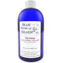 10 ppm 16 oz Colloïdal argent naturel de soutien immunitaire Supplément de santé
