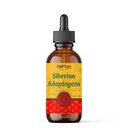 Sibirische Adaptogene Kräutermischung mit Maral, Spikenard, Eleuthero, Red Ginseng, Rhodiola, Schisandra, Licorice, Peony, & More - Boosts Energy, Enhances Focus, Reduces Stress, 2 Fluid oz (60 ml)