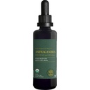 Global Healing Center - Suppléments d'Ashwagandha bio gouttes - KSM-66 Ashwagandha Extra Strength pour les hommes et les femmes, aide à promouvoir le soulagement du stress, le soutien de l'humeur, organique (2 Fl Oz)
