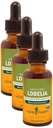 Herb Pharm Certified Organic Lobelia Liquid Extract für Musculoskeletal System Support - 1 Unnce (DLOBEL01) (Pack mit 3)