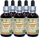 Queen's RootStil (Sylvatica) Tinktur, Getrocknete Wurzeln Flüssiger Extrakt (Markenname: HerbalTerra, Proudly Made in USA) 5x2 fl.oz (5x60 ml)