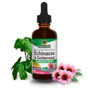 Réponse de la nature Echinacea & Goldenseal avec de l'alcool organique, 2-Fluid Ounces