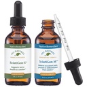 Remédies autochtones Complete Sciatigon ComboPack - Tous les suppléments naturels à base de plantes aident à réduire la pression sur la nervure sciatique et remède homéopathique naturel réduit la douleur, la crampe et le nombre
