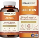 Lecithin-240 Softgels-Supports Gehirngesundheit
