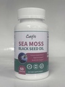 Mousse de mer