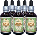 White Willow (Salix Alba) Glycerite, Organic Dried Bark Alcohol-FREE Liquid Extract (Markenname: HerbalTerra, Proudly made in USA) 5x2 fl.oz (5x60 ml)