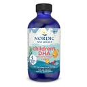 Nordic Naturals Enfants DHA, fraise - 4 oz pour enfants - 530 mg Oméga-3 avec EPA et DHA - Développement et fonction cérébrale - Non-OGM - 48 portions