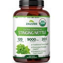 Zazzee USDA Sting Organic Nettle 20:1 Extrait, 9000 mg Résistance, 120 Capsules Vegan, 4 mois d'approvisionnement, Concentré, Standardisé 20X Extrait, certifié biologique, 100% végétarien, tout naturel, non-OGM