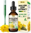 Mullein Tropfen für Lungsergänzung: Bio Mullein Leaf 30:1 Extrakt Tinktur mit Chlorophyll - Kräuterergänzung Unterstützung Lung Cleanse & Respiratory Function - Non-GMO, Vegan - 2 Fl Oz