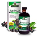 Nature's Answer Sambucus Elder Berry Extract Syrup 8 Ounce ( 3 Pack ) | Daily Immune Support | Packed with Antioxidants | Family Friendly | Flue Season Defender