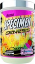 Specimen Full Spectrum High Stimulant Pre-Workout Pulver | Supercharged Energy & Muskel Pumps + Fokus & Hydration | Great Far-Out Flavors (Strawberry Watermelon V3)