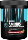 Acides aminés juteux pour animaux - BCAA poudre EAA Matrix Plus Hydratation avec électrolytes et sel de mer en tout temps récupération et amélioration de la performance, fraise Limeade Saveur, 30 portions