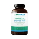Rootkologie von Dr. Izabella Wentz | Pancreatic Enzymes Plus | Enteric Coated Lipase, Protease & Amylase Blend mit Bromelain | 90 Kapseln