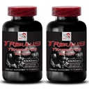 Augmenter le sex drive - TRIBULUS TERRESTRIS EXTRACT - Tribulus terrestris extrait pour source d'énergie, Sex drive pilules pour les hommes et les femmes, Sex drive pilules, Libido booster - 2 bouteilles 180 comprimés