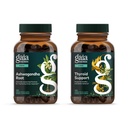 Gaïa Herbes Racine d'Ashwagandha - Fabriqué avec la racine d'Ashwagandha biologique - 120 Vegan Liquide Phyto-Capsules et Support Thyroïde - Soutenir l'équilibre métabolique sain et le bien-être global - 120 Vegan Liquide Phyto