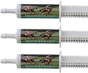 High Endurance Oral Paste Pferde Ergänzung für Pferde – 3-Pack. Elektrolyte, Vitamine und Mineralien, um Dehydratisierung zu verhindern. Drei 60-ml Easy-Dose Siringes. Cox Veterinary Lab. Made in USA.