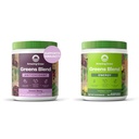 Amazing Grass Greens Blend Antioxydant: Super Greens Powder Smoothie Mix avec Bio & Green Superfood Energy: Smoothie Mix, Super Greens Powder & Plant Based Caffeine