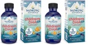 Nordic Naturals Enfants DHA Xtra, Berry Punch - 2 oz pour les enfants - 880 mg Oméga-3 total avec EPA & DHA - Fonction cognitive et immunitaire, apprentissage, développement social - Non-OGM - 48 portions (paquet de 2)
