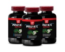 Saw Palmetto for Prostate Wellness - Prostate Support - Pygeum and Prostate Wellness, Red Raspberry for Support, Graviola Leaf for Prostate Health, Green Tea for Wellness 3 Bottles 180 Capsules