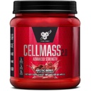 BSN CELLMASS 2.0 Récupération après l'entraînement avec BCAA, la créatine et la glutamine - Keto Friendly - Arctic Berry, (25 portions) (1048058)