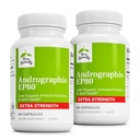 Terry naturellement Andrographis EP80 Extra Strength - Brain Health & Immune Support - Joint Health Support to Aid Mobility - Supplément adaptogène pour l'énergie et le foie - 60 Capsules (Pack of 2)