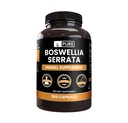 Ingrédients originaux purs Boswellia Serrata (365 Capsules) Pas de Magnésium ou de Rice Fillers, Toujours Pure, Verified Lab