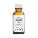 Jackson's #8 Sel de cellule Mag Phos 6X (Bouteille de 500 granulés) – Certifié végétalien, sans lactose Schuessler Sel de tissu Magnésie Phosphorique 6X