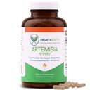Artemisia Trinity (Trinité de l'artémisie) Nettoyant pour les adultes avec des herbes de wormwood et de l'artémisinine 30:1 Extrait de résistance et de soutien digestif
