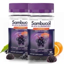 Sambucol Gommies de baies aînées noires avec vitamine C et zinc - Sambucus Gommies de baies aînées pour le soutien immunitaire, des antioxydants élevés, sans gluten, végétalien, fraisier avec zinc et vitamine C - 30 Compte, 2 Pack
