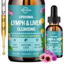 Drainage lymphatique liposomique gouttes, nettoyage du foie détox & réparation de supplément liquide avec le chardon, le dandelion, la racine de dard et l'échinacée - Lymphe et le foie détox, antioxydant, saveur naturelle 2 Fl Oz