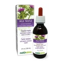 Naturalma Thistle de lait (Silybum marianum) Fruits et herbes Teinture sans alcool - 4 fl oz Extrait liquide dans les gouttes - Supplément à base de plantes - Vegan