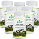 Active Hexose Correlated Compound 1500 mg Supplement, Natural 8 Mushroom Extract Supplement, Immune System, Liver Function, Natural Killer and T Cells Activity, 540 Veggie Capsules