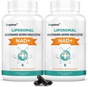 Orgabay NAD liposomique + Supplément 500 mg, Absorption élevée, Boost NAD+ avec TMG 250 mg, Réel NAD Plus plus plus efficace que le riboside de Nicotinamide, Soutien énergie cellulaire, Vieillissement en santé