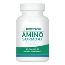 Rootcologie par Dr. Izabella Wentz-Support des aminos Capsules complexes d'acide amino avec L-glutamine, Glycine et MSM 90 Capsules