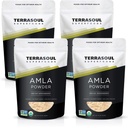 Terrasoul Superfoods Organic Amla Powder (Amalaki), 4 Lbs - Rich in Antioxidant Vitamin C | Supports Immunity