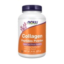 MAINTENANT Aliments suppléments, poudre de peptides de collagène, testés cliniquement, santé des articulations et des os*, 8-Ounce