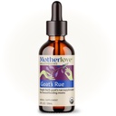 Motherlove Chèvres Rue (2 Once Teincture) Supplément d'allaitement pour le développement des tissus mammaires et l'optimisation de l'approvisionnement en lait maternel – USDA certifié biologique, végétalien, casher, sans soja