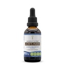 Secrets of the Tribe Lion's Mane Tincture Alcohol-Free Extract, Lion's Mane (Hericium erinaceus) Dried Mushroom (2 fl oz)