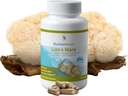 MushroomScience Lions Mane Mushroom Capsules, mémoire et support de concentration, extrait de spectre complet, supplément de champignons pour adultes, champignons extraits d'eau chaude, végétarien, 300MG, 90 ct