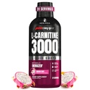 ProSupps L-Carnitine Liquid 3000, Stimulant-Free Liquid Shops pour les hommes et les femmes - boisson d'entraînement propre pour l'énergie, la performance et la récupération musculaire - Pas de sucre, pas de glucides - 31 portions, fruits dragon
