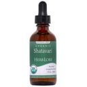 Herb Lore Organic Shatavari Root Extract Tincture - Liquid Shatavari Drops (Asparagus Racemosus) for Lactation and Wellness Support - Alcohol Free (2 fl oz)