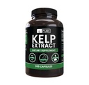 Ingrédients originaux purs Extrait de Kelp (365 Capsules) Pas de Magnésium ou de Rice Filters, Toujours Pure, Verified Lab