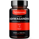 PhiNaturals Extrait de racine biologique Ashwagandha dans des capsules véganes égale à 6000 Mg de racine - Supplément Ashwaganda pour hommes et femmes avec 1500 Mg par portion 30 portions - 500mg Par capsule végane 90 Compte